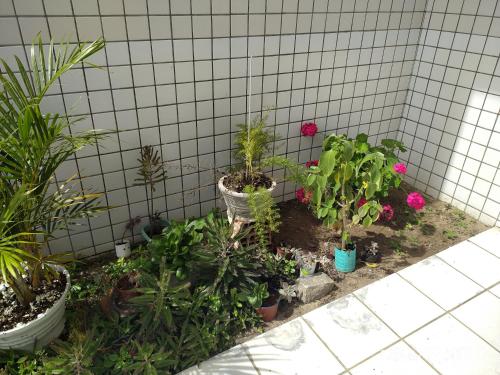 apartamento 2 quartos mobiliado garanhuns pe