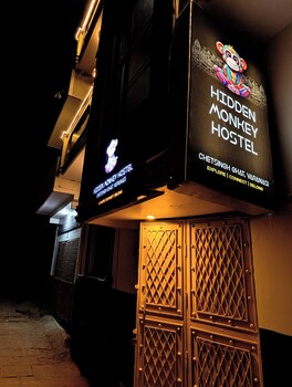 hidden monkey hostel chet singh ghat
