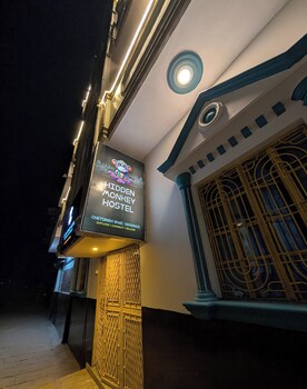 hidden monkey hostel chet singh ghat