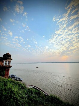 hidden monkey hostel chet singh ghat