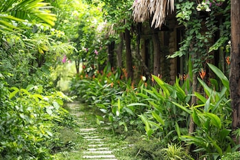 tam coc oasis resort and spa