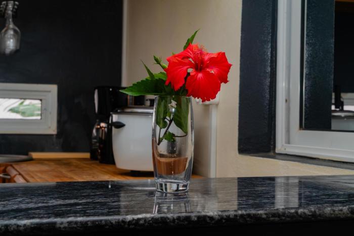 cattleya guest house