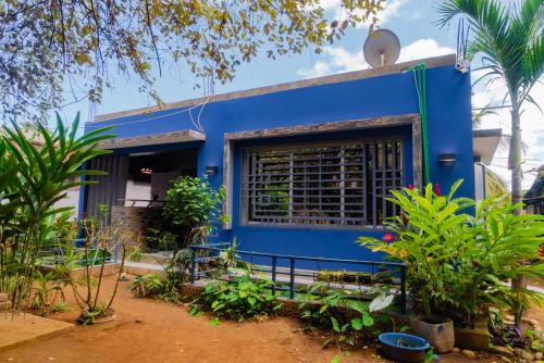 cattleya guest house