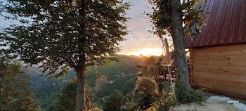 ardesen