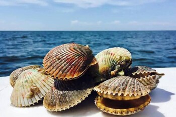 New Listing Discount! • Near Manatees & Springs,,4 star