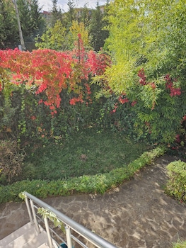 golden flower hotel