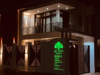 big tree motel