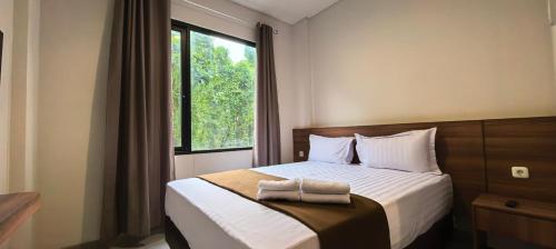 shencasa living juanda