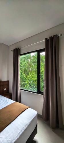 shencasa living juanda