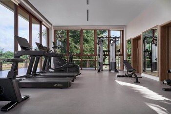 samanea wellness resort