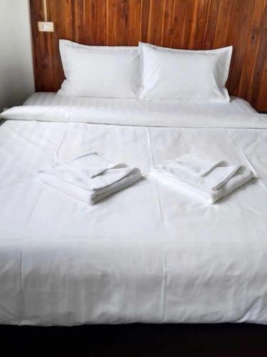 ban laos guesthouse