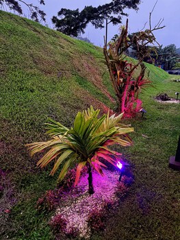 biofilia monteverde