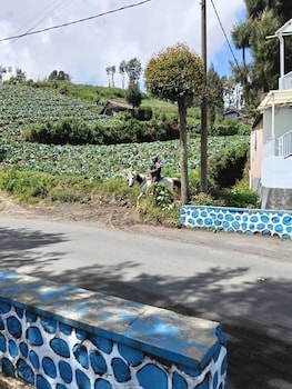den bagus bromo