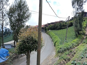 den bagus bromo