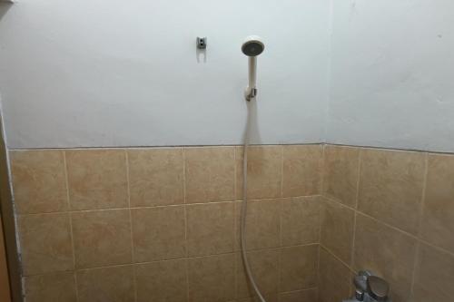 jj house kost exclusive nologaten