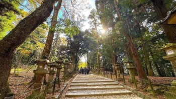 nara kasuga kanoya