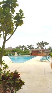 baobab soleil