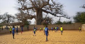 baobab soleil