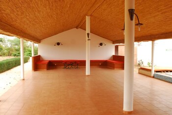 baobab soleil