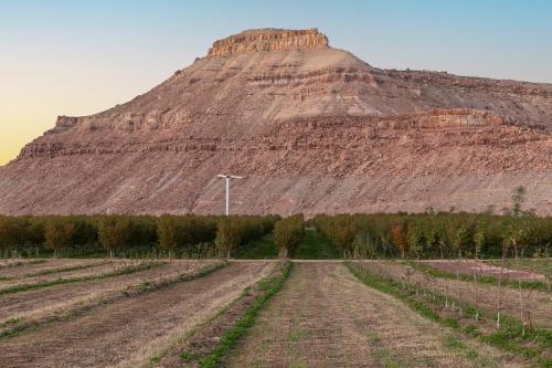 honey rock landing