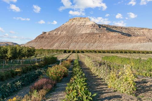 honey rock landing