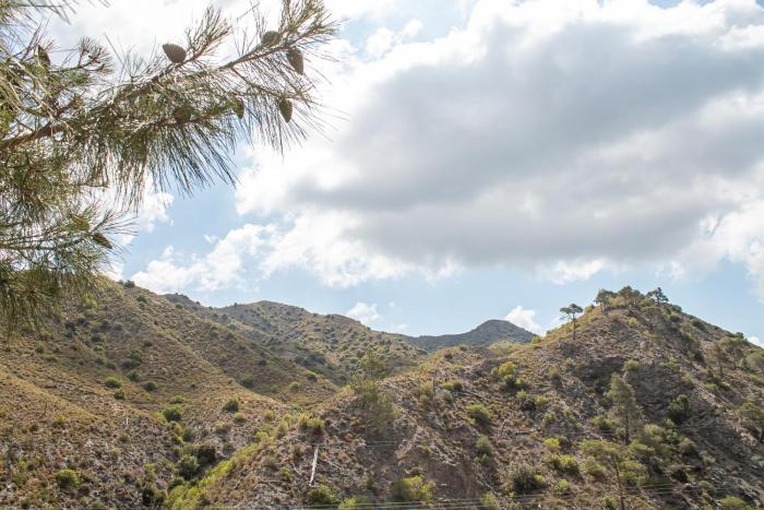 pine view boutique hotel adults only