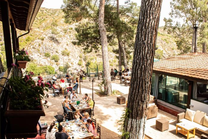 pine view boutique hotel adults only