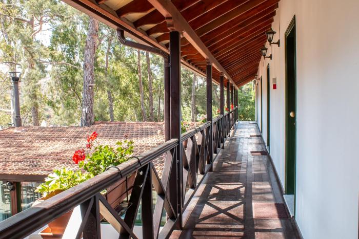 pine view boutique hotel adults only