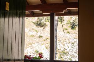 pine view boutique hotel adults only