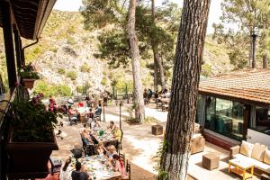 pine view boutique hotel adults only