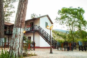 pine view boutique hotel adults only