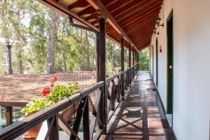 pine view boutique hotel adults only