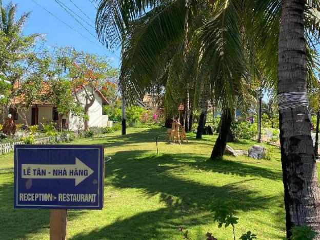 kega lighthouse resort