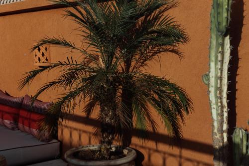 riad le terra cotta
