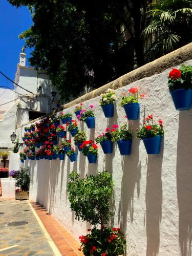 hostal casa miguel marbella