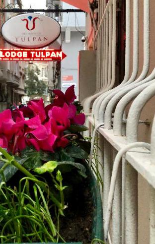 The House Of Tulpan,Istanbul>>Beyoglu,3 star