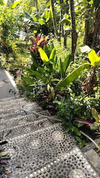 diara cottage