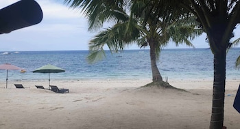 birdwatchers poolside hotel panglao