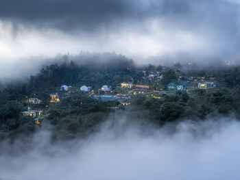 vanani resort and caravan park munnar