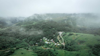 vanani resort and caravan park munnar