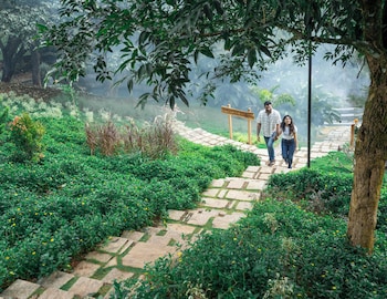 vanani resort and caravan park munnar