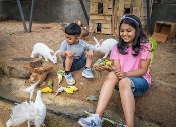 vanani resort and caravan park munnar