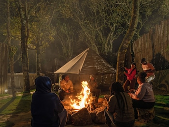 vanani resort and caravan park munnar