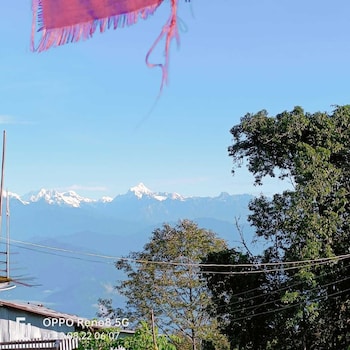 paradise homestay