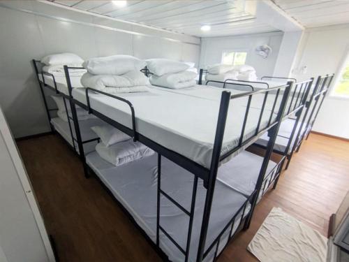 capital o 91243 bee good chalet