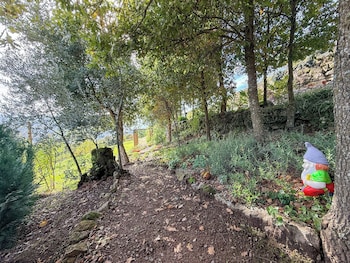 bosque da fantasia