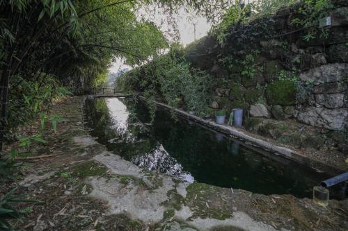 bosque da fantasia