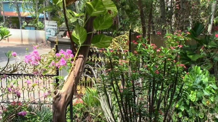 varkala