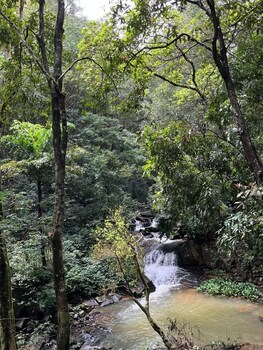 nirjhara coorg