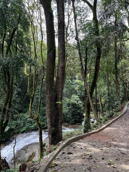 nirjhara coorg